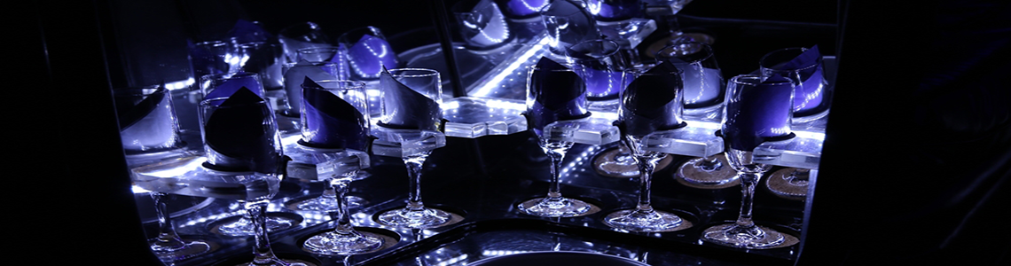 Party bus banner #2