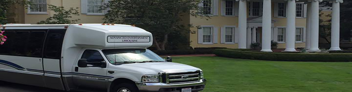 Party bus banner #3
