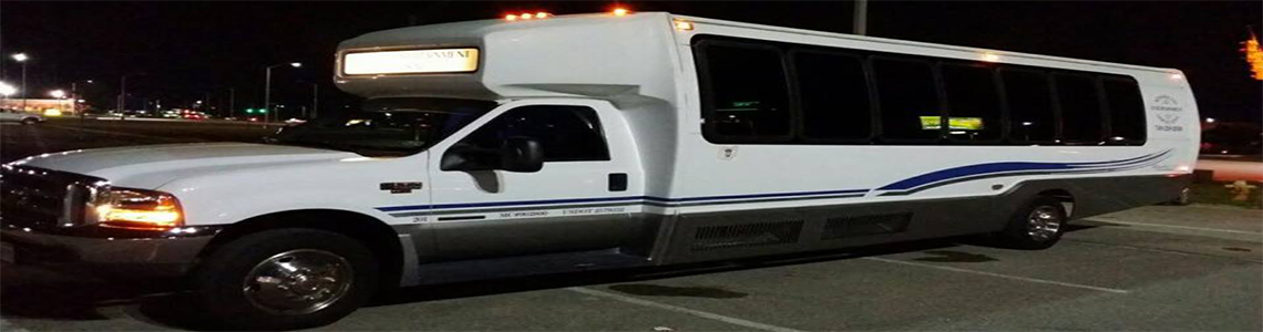 Party bus banner #5
