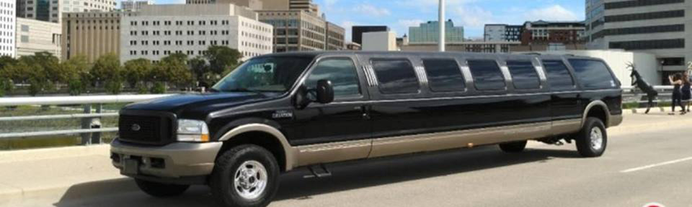 Party bus banner #6